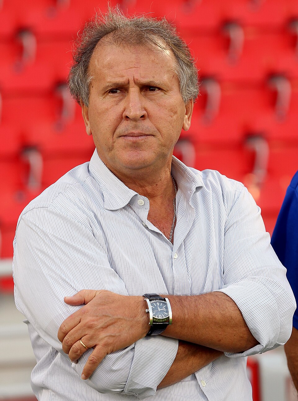 Retrato de Zico
