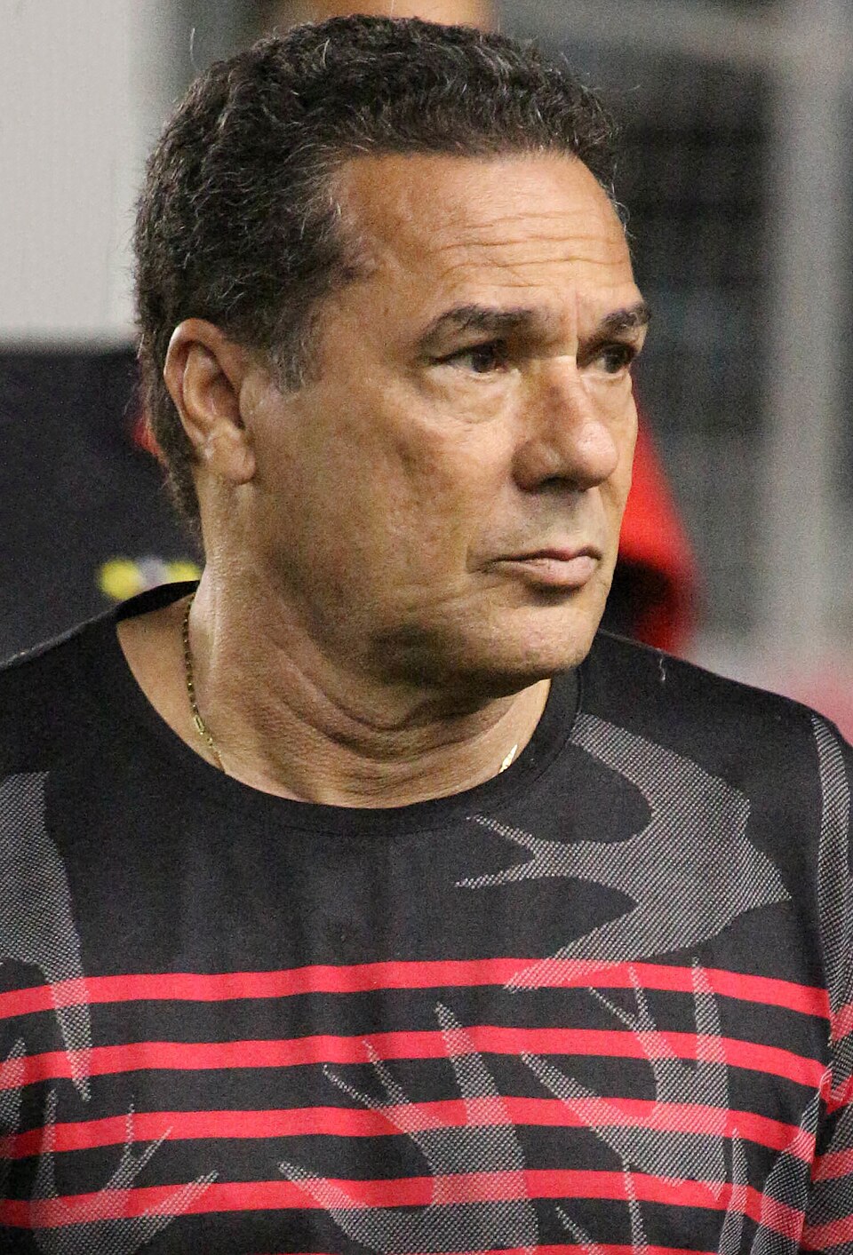 Retrato de Vanderlei Luxemburgo