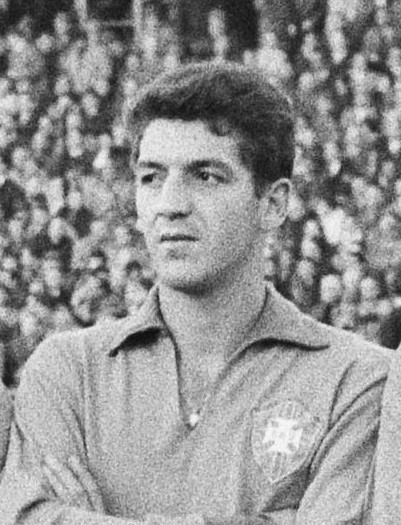 Retrato de Roberto Dias