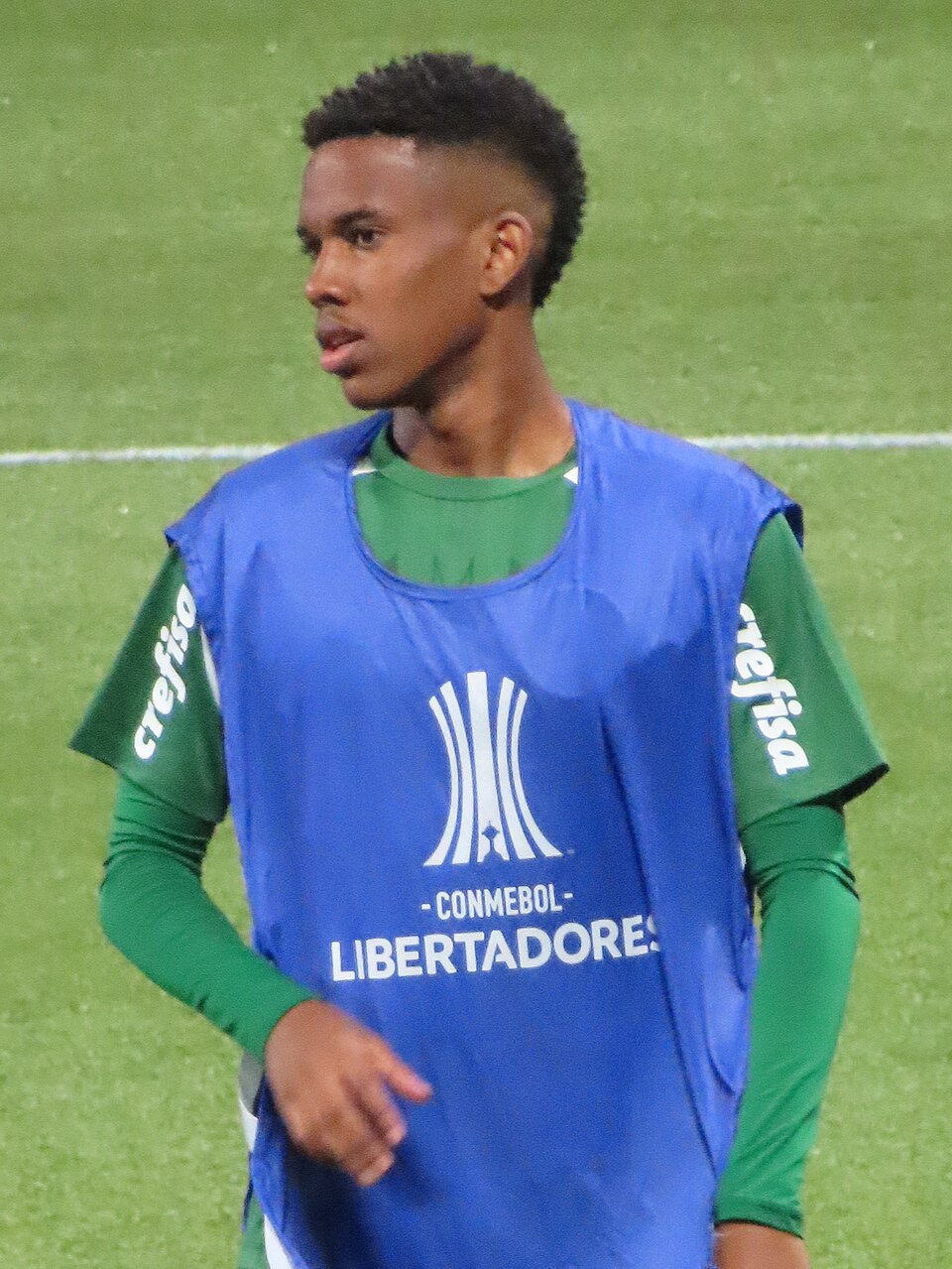 Retrato de Estêvão