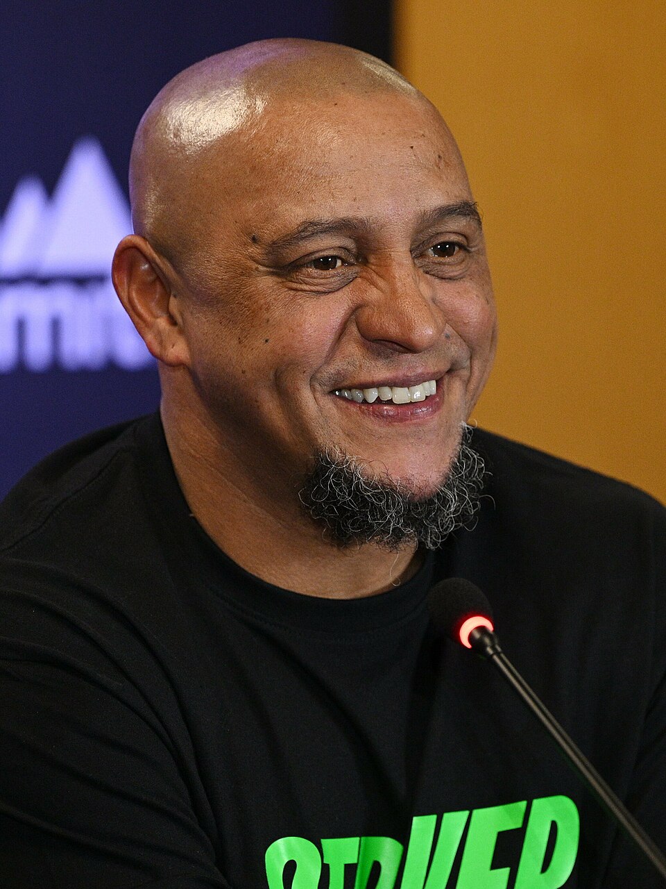 Retrato de Roberto Carlos